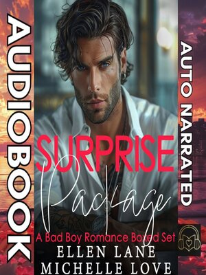 cover image of Surprise Package